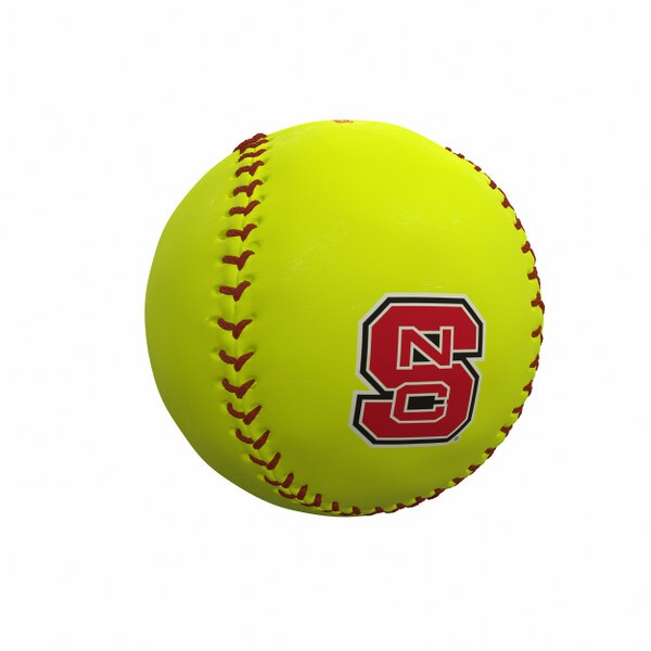 Logo Brand Softball